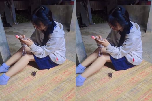 Hãy tụ tập ở nhà và chịch nhau