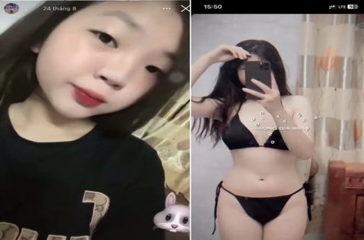 Thỏ hư bướm đẹp quá trời